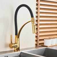 Robinet cuisine laiton mitigeur douchette extractible bec orientable