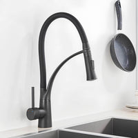 Robinet cuisine laiton mitigeur douchette extractible bec orientable