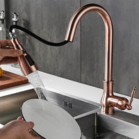 Robinet cuisine douchette extractible antique L'art du robinet