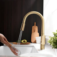 Robinet cuisine laiton avec douchette extractible et eau filtrée
