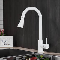 Robinet cuisine laiton douchette extractible 2 jets