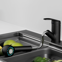Robinet évier avec douchette extractible L'art du robinet