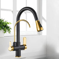 Robinet cuisine extractible avec filtre intégré bicolore