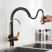Robinet cuisine extractible avec filtre intégré bicolore