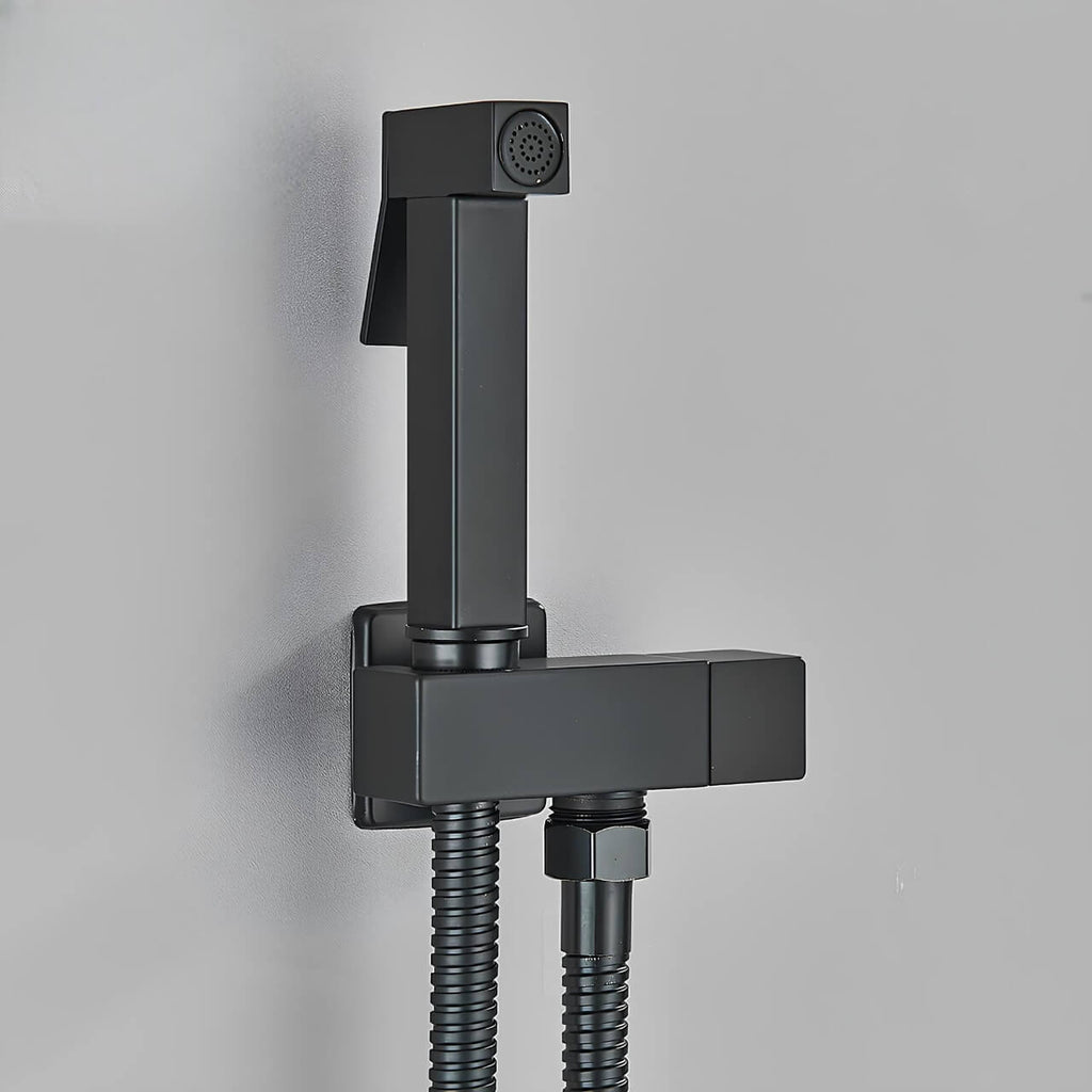 Douchette WC murale acier inoxydable chrome